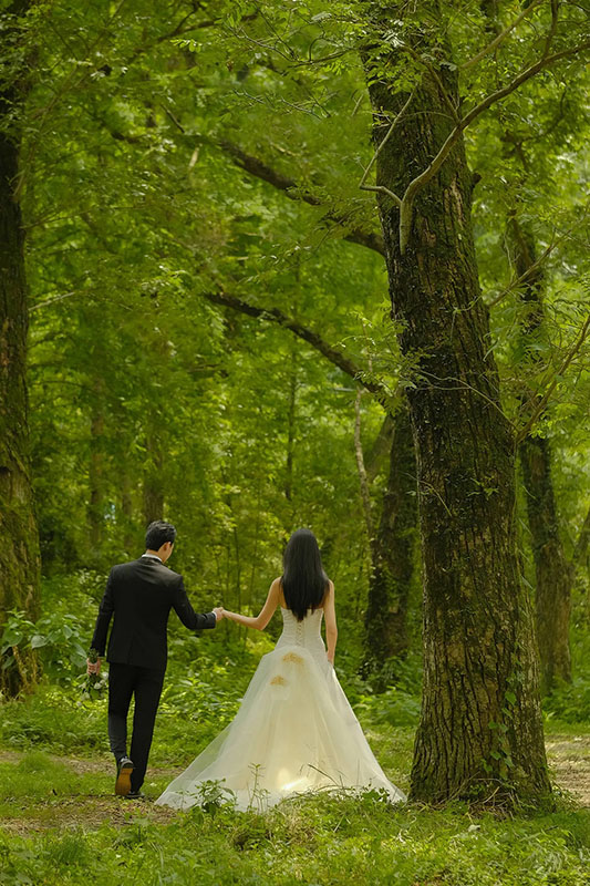 电影感森系婚纱照欣赏